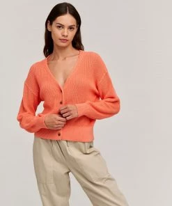 Velvet by Graham and Spencer Velvet Solange Cardigan